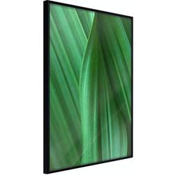 Arkiio Affisch Leaf Texture [Poster] 40x60 Poster